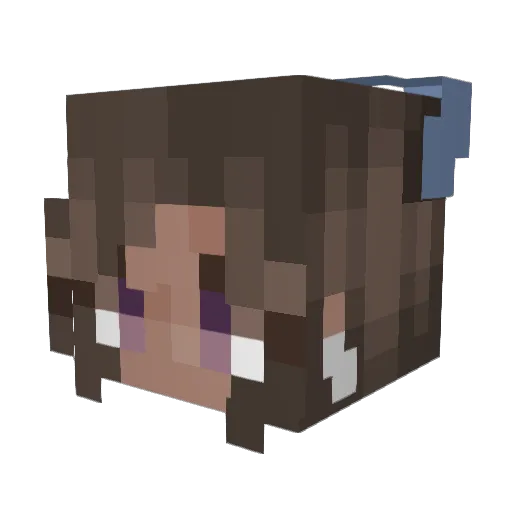 Nattisht Minecraft avatar head, 3D render