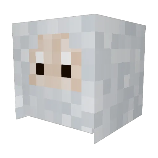 Nattx123 Minecraft avatar head, 3D render