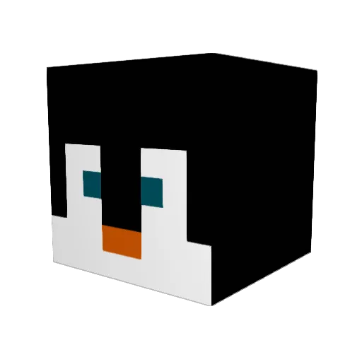 Natty1401 Minecraft avatar head, 3D render