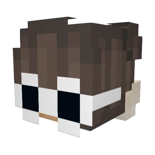 NattyDaddyy Minecraft avatar head, 3D render