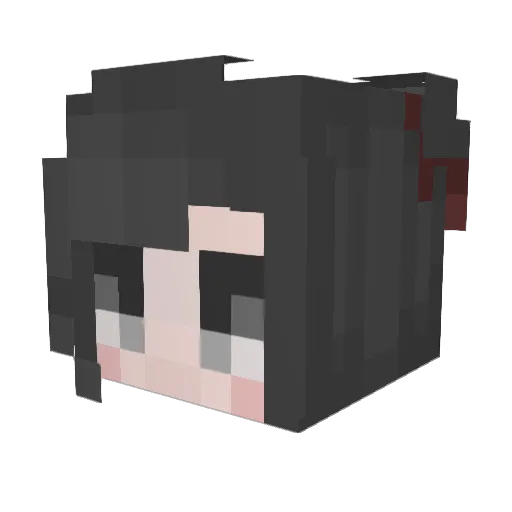 Nattypops Minecraft avatar head, 3D render