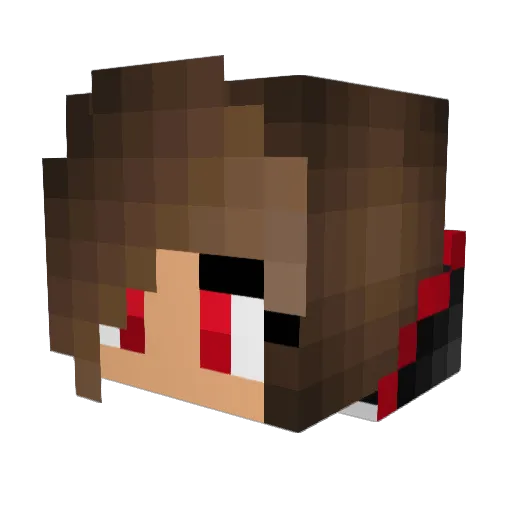 Natura_17 Minecraft avatar head, 3D render