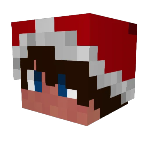 NaturalCactus Minecraft avatar head, 3D render