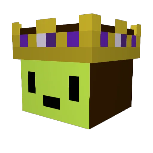 NaturalKiwi_ Minecraft avatar head, 3D render