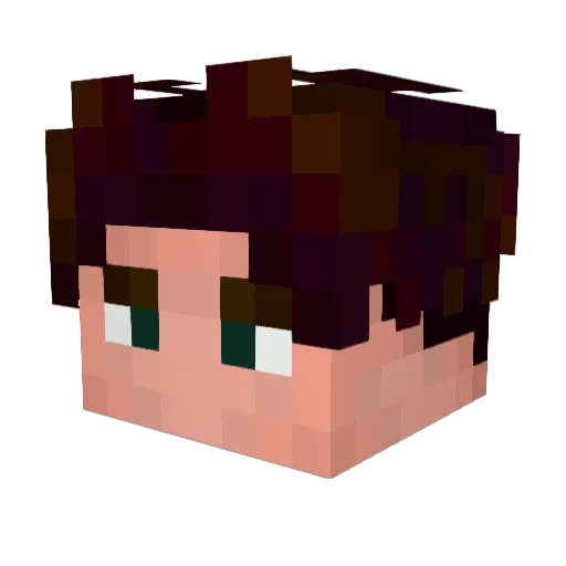 NaturalZed Minecraft avatar head, 3D render