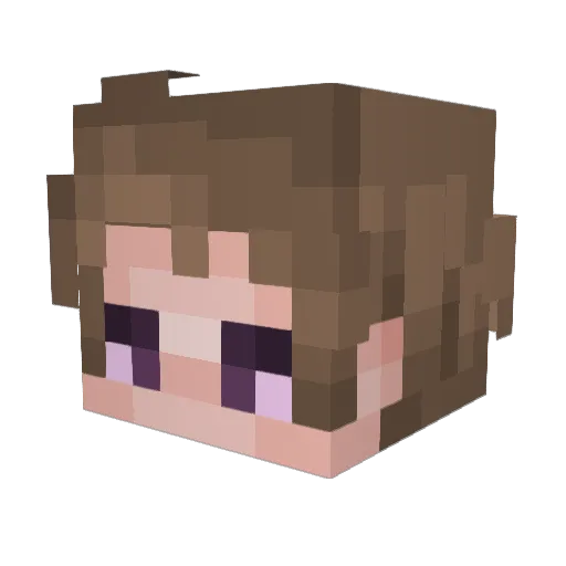 Naturalcamo Minecraft avatar head, 3D render