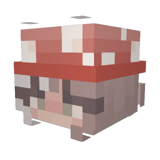 NatureBoundSnow Minecraft avatar head, 3D render