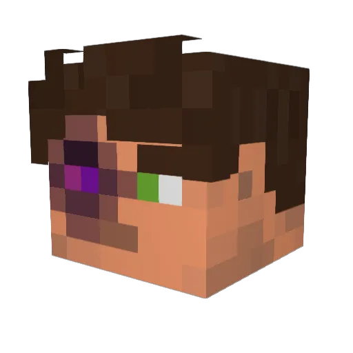 NatureGamr Minecraft avatar head, 3D render