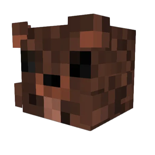 NatureGardian Minecraft avatar head, 3D render