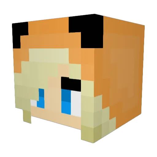 NatureSk8er Minecraft avatar head, 3D render
