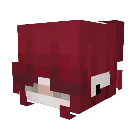 NaturedPuma8358 Minecraft avatar head, 3D render