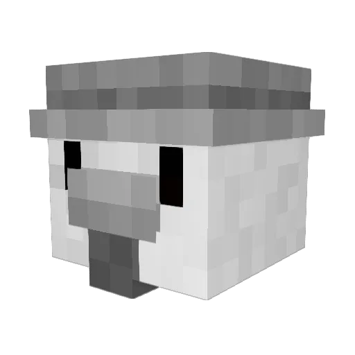 NaturesChicken Minecraft avatar head, 3D render