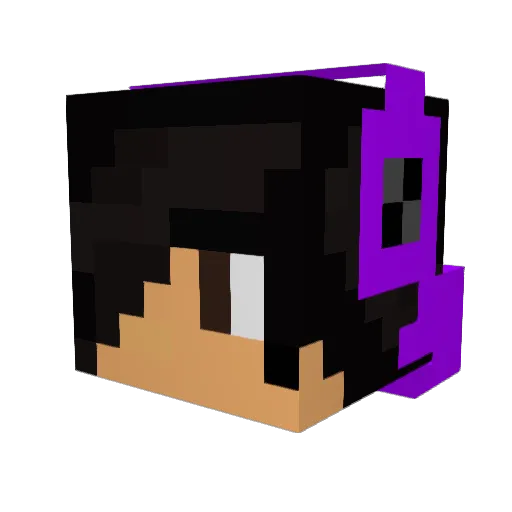 NaturesPvp Minecraft avatar head, 3D render
