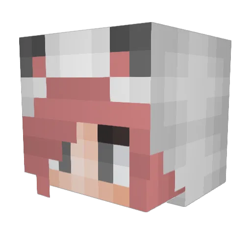 Naty15503 Minecraft avatar head, 3D render