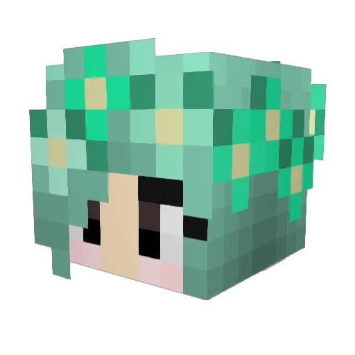 Natz80 Minecraft avatar head, 3D render