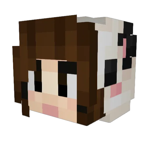 Natzaz Minecraft avatar head, 3D render