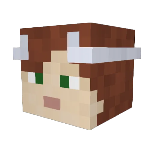 Naucaruni Minecraft avatar head, 3D render
