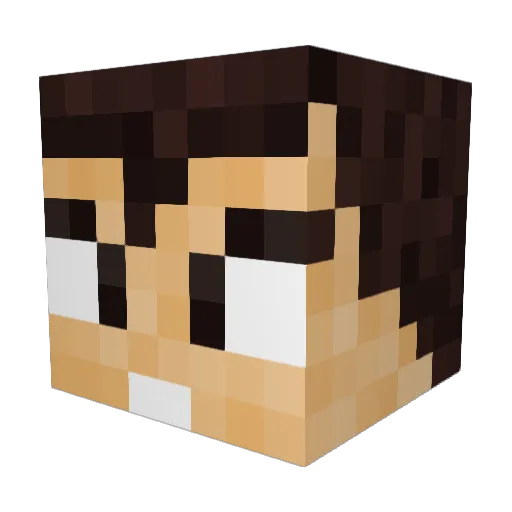 Naucoco Minecraft avatar head, 3D render