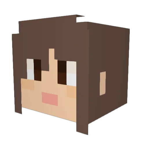 NaughtyBuilder Minecraft avatar head, 3D render