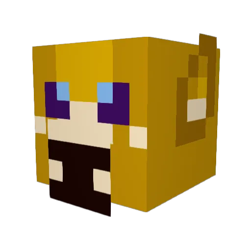 NaughtyKangaroo Minecraft avatar head, 3D render