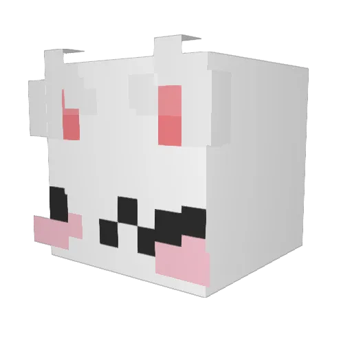 NaughtyKitten Minecraft avatar head, 3D render