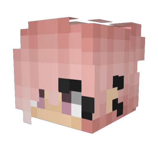 NaughtyWitchy Minecraft avatar head, 3D render