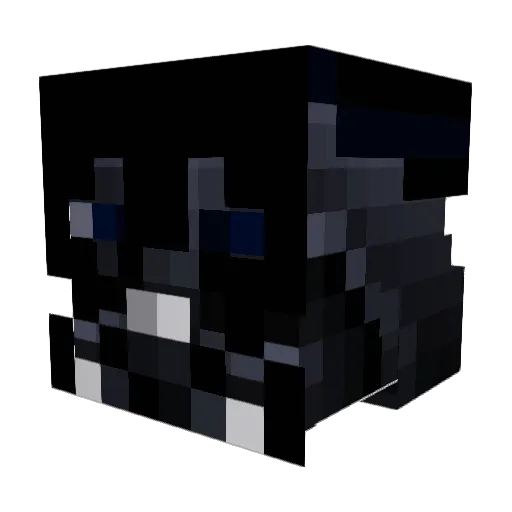 Naughty_B3ar Minecraft avatar head, 3D render