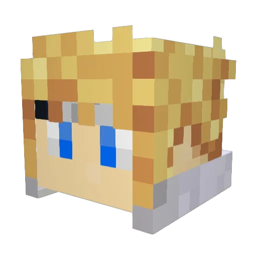 Naughty_Shark Minecraft avatar head, 3D render