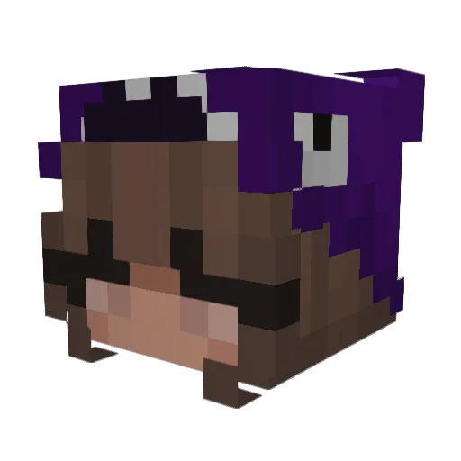 Naughtyyyyyy Minecraft avatar head, 3D render