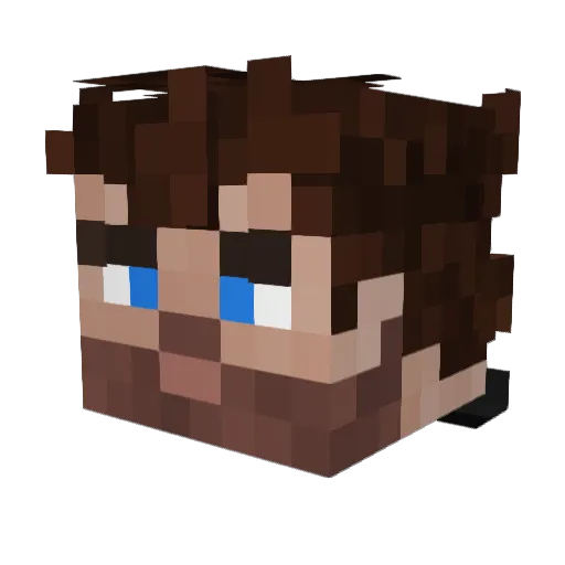 Naukry1 Minecraft avatar head, 3D render