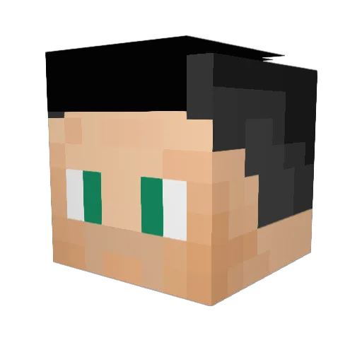 Naulerin0 Minecraft avatar head, 3D render