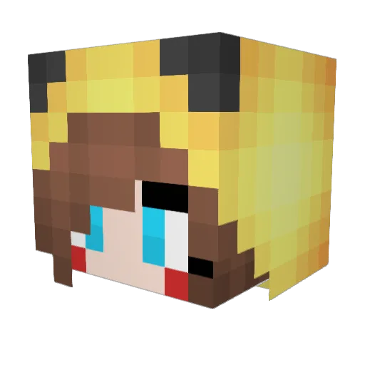 Nauli Minecraft avatar head, 3D render