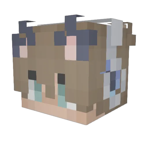 NauroGaming Minecraft avatar head, 3D render