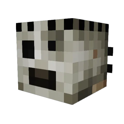Nauseous34 Minecraft avatar head, 3D render
