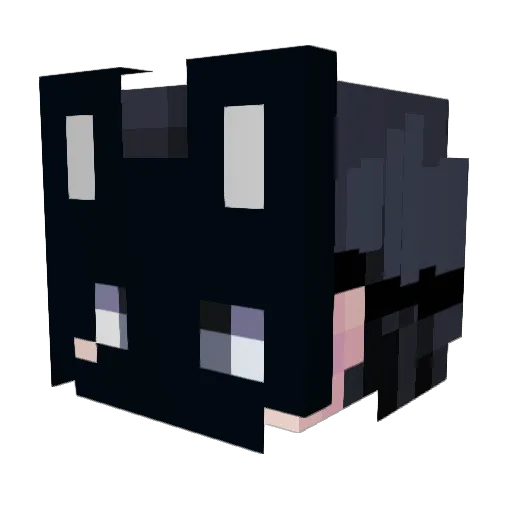 NauticalParticle Minecraft avatar head, 3D render