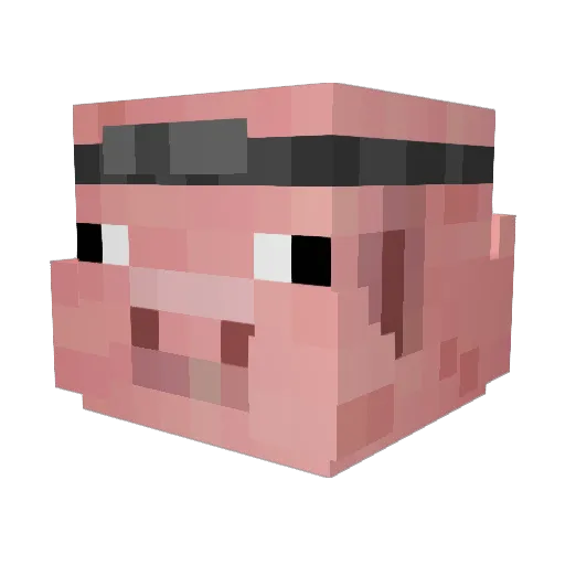 Nauticalpig Minecraft avatar head, 3D render