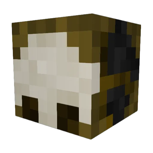 Nautilus__ Minecraft avatar head, 3D render
