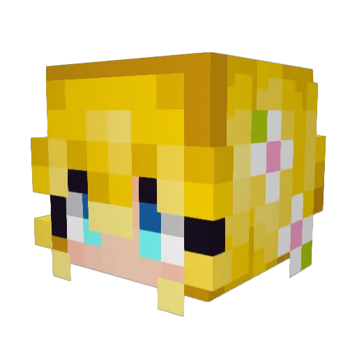 Nautilusly Minecraft avatar head, 3D render