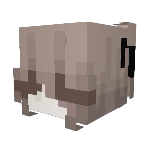 Nav2a Minecraft avatar head, 3D render