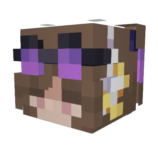 Nav6 Minecraft avatar head, 3D render