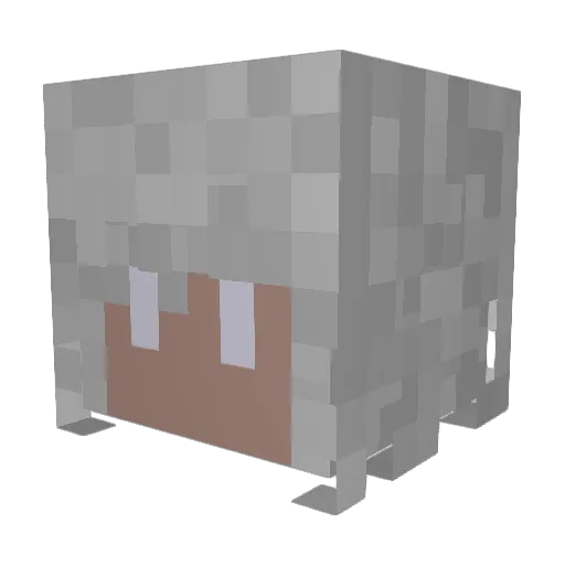 Navaj63 Minecraft avatar head, 3D render