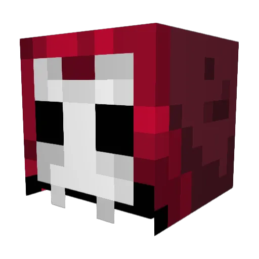 Navajo_Isaac Minecraft avatar head, 3D render
