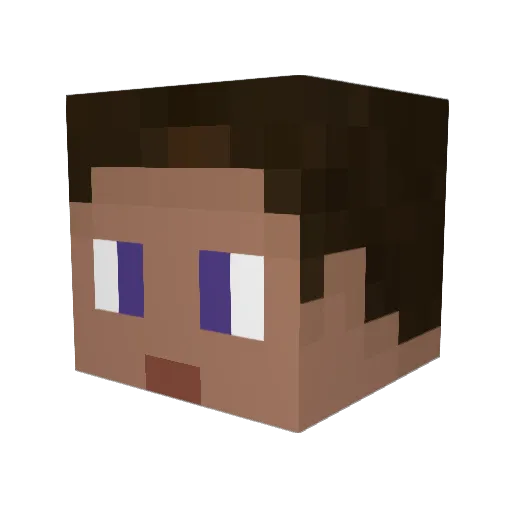 Navebackwards Minecraft avatar head, 3D render