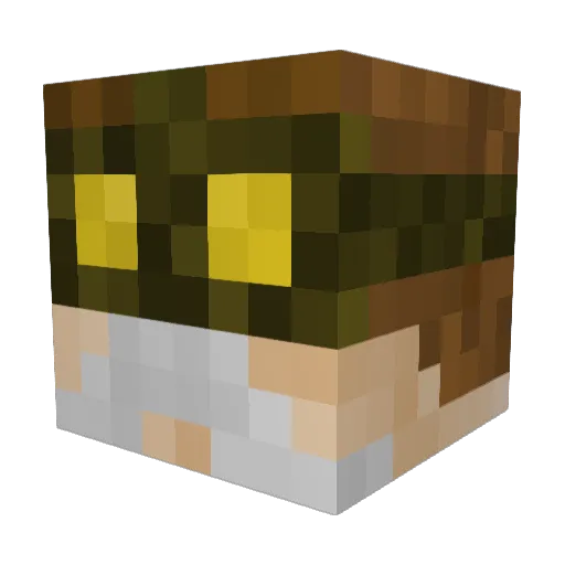 NaveenVarma Minecraft avatar head, 3D render