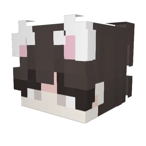 Naves_991 Minecraft avatar head, 3D render