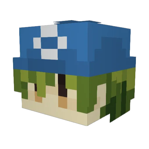 NaviGonz Minecraft avatar head, 3D render