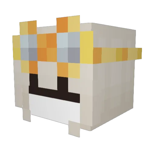 NaviLikesOwls Minecraft avatar head, 3D render