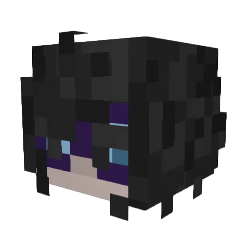 NaviSauce Minecraft avatar head, 3D render