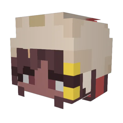 NaviUserAle Minecraft avatar head, 3D render