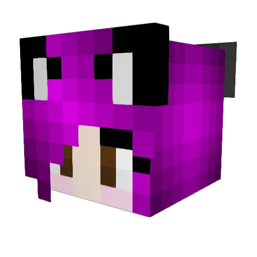 Navigirl625 Minecraft avatar head, 3D render